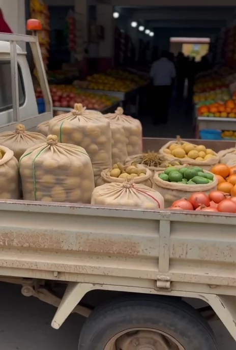 CAMIÓN CON PAPA Y CEBOLLA GROK