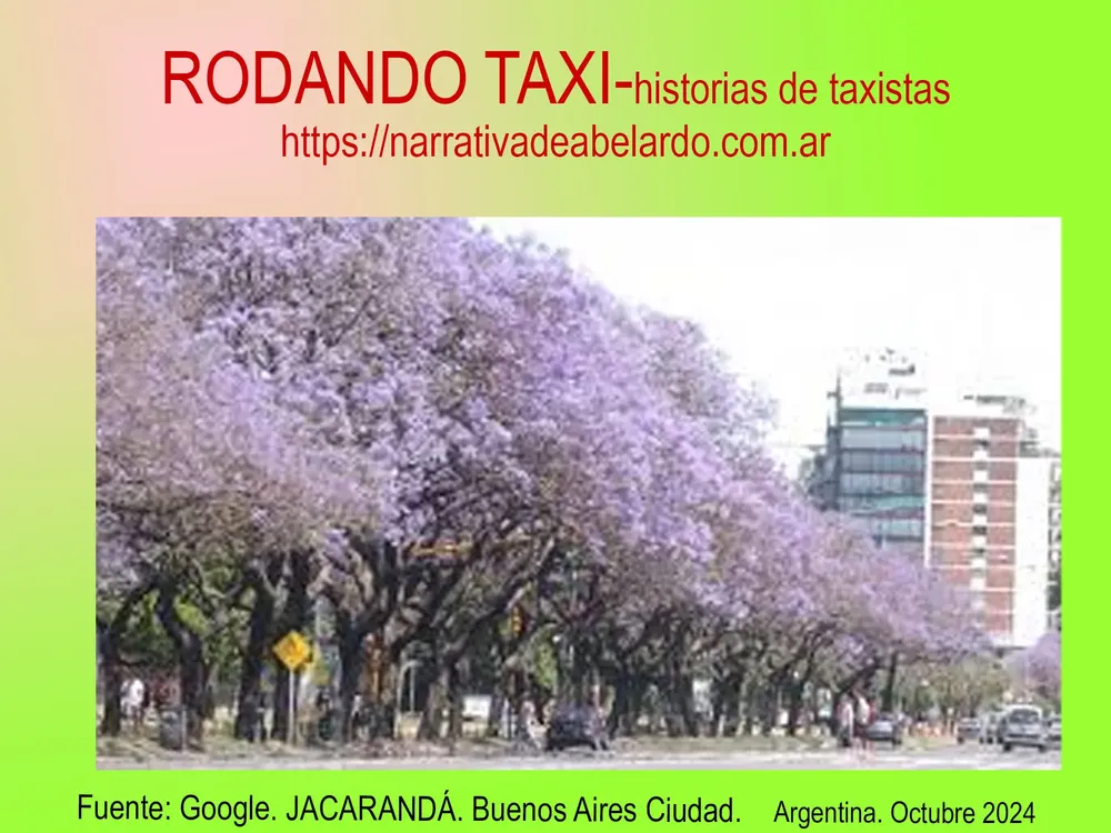 JACARANDÁ