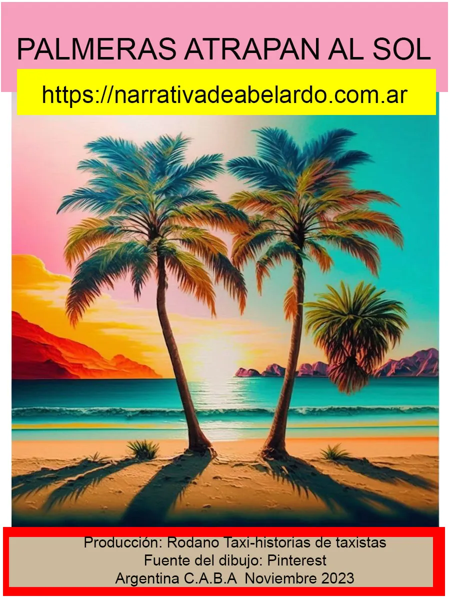 PALMERAS ATRAPAN AL SOL