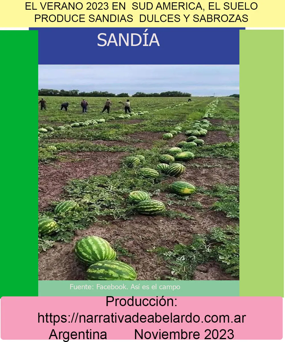 Noviembre- Sandia