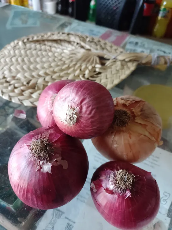 CEBOLLS MORADA 23