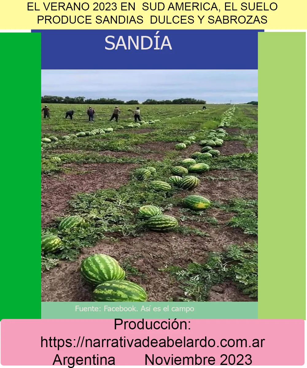 Noviembre- Sandia